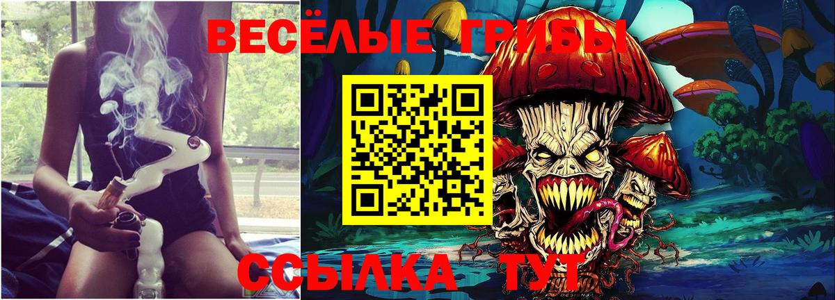 Псилоцибиновые грибы Cubensis  Вход с VPN  Псилоцибиновые грибы мухоморы  Нижнеудинск 
